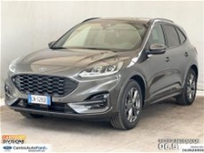 Ford Kuga Kuga 1.5 ecoboost ST-Line 2wd 150cv del 2023 usata a Albano Laziale