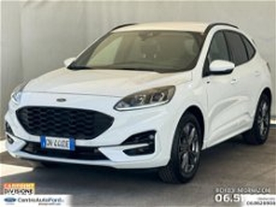 Ford Kuga Kuga 1.5 ecoboost ST-Line 2wd 150cv del 2023 usata a Albano Laziale