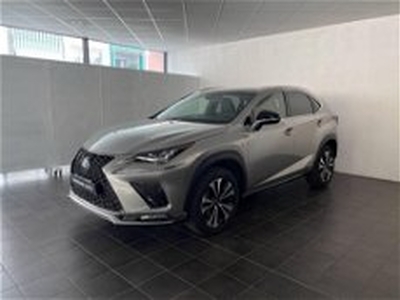 Lexus NX Hybrid 4WD F-Sport del 2018 usata a Torino