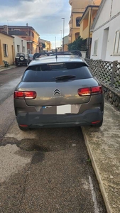 Usato 2019 Citroën C4 Cactus 1.6 Diesel 116 CV (14.500 €)