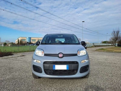 Usato 2019 Fiat Panda 1.2 Benzin 69 CV (10.300 €)
