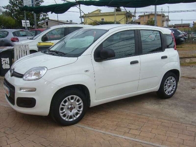 Usato 2019 Fiat Panda 1.2 Benzin 69 CV (9.300 €)