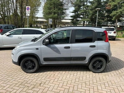 Usato 2019 Fiat Panda 4x4 0.9 LPG_Hybrid 86 CV (10.900 €)