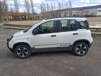 Usato 2019 Fiat Panda Cross 1.2 Benzin 69 CV (10.800 €)