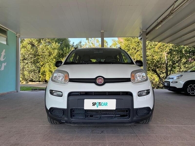 Usato 2022 Fiat Panda 1.0 El_Hybrid 70 CV (12.850 €)