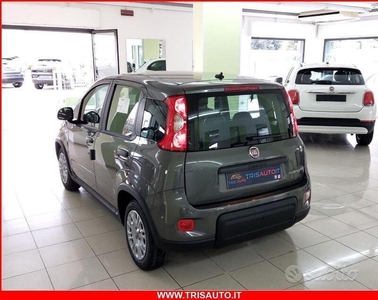 Usato 2023 Fiat Panda 1.0 El_Hybrid (14.800 €)