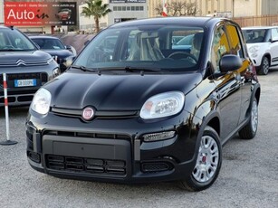 Fiat Panda 1.0 firefly hybrid s&s 70cv 5p.ti nuovo