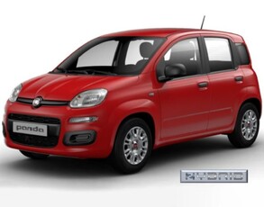 Fiat Panda 1.0 firefly hybrid s&s 70cv nuovo