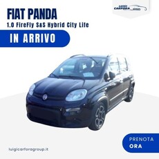 Fiat Panda 1.0 firefly hybrid s&s 70cv 5p.ti usato