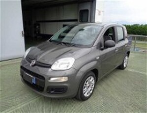 Fiat Panda 1.0 FireFly S&S Hybrid Easy del 2022 usata a Castelfranco Veneto