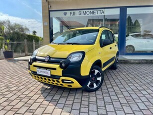 Fiat Panda 1.0 FireFly S&S Hybrid City Cross usato