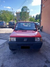 Fiat Panda 1000 4x4 usato