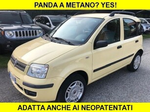 Fiat Panda 1.2 Active Natural Power usato