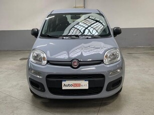 Fiat Panda 1.2 Easy Van 4 posti usato