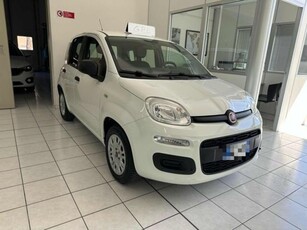 Fiat Panda 1.2 EasyPower Easy usato