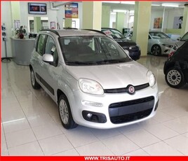 Fiat Panda 1.2 Lounge usato