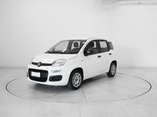Fiat Panda 1.0 FireFly S&S Hybrid Easy usato