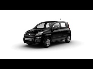 Fiat Panda My24 1.0 70cv Hybrid Panda Km 0