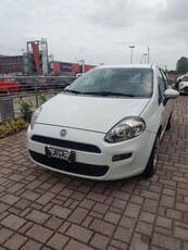 Fiat Punto 1.2 8V 5 porte Lounge usato