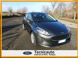 Ford Fiesta 1.1 85 CV 5 porte Plus usato