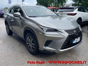 Lexus NX Hybrid 4WD Business usato