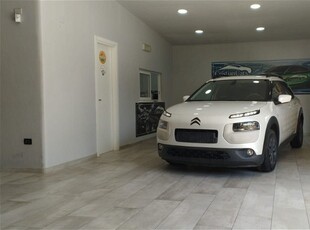 Citroen C4 Cactus BlueHDi 100 Feel usato