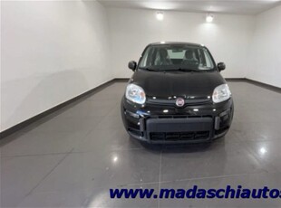 Fiat Panda 1.0 firefly hybrid s&s 70cv 5p.ti nuovo