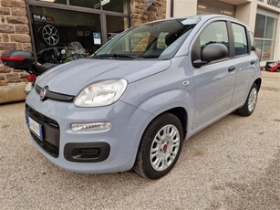 Fiat Panda 1.0 firefly hybrid s&s 70cv usato