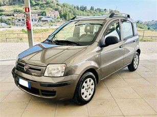 Fiat Panda 1.2 Dynamic usato