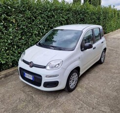 Fiat Panda 1.2 Easy usato