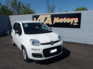 Fiat Panda 1.2 Easy usato