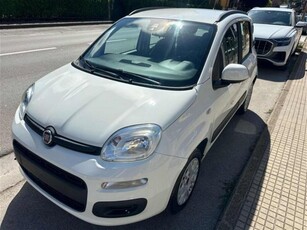 Fiat Panda 1.2 Pop usato