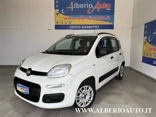 Fiat Panda 1.2 usato