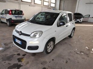 Fiat Panda 1.3 MJT S&S Easy Van 4 posti usato