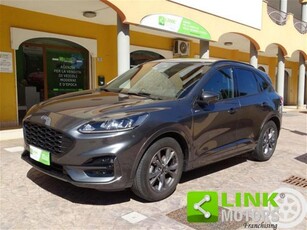 Ford Kuga 1.5 EcoBoost 150 CV 2WD ST-Line usato