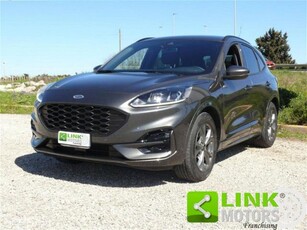 Ford Kuga 1.5 EcoBoost 150 CV 2WD ST-Line usato