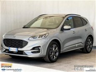 Ford Kuga Kuga 1.5 ecoboost ST-Line 2wd 150cv del 2023 usata a Albano Laziale