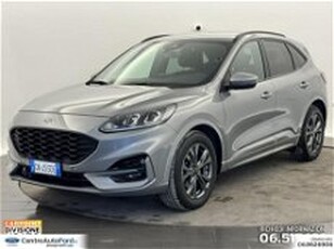 Ford Kuga Kuga 1.5 ecoboost ST-Line 2wd 150cv del 2023 usata a Albano Laziale