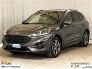 Ford Kuga Kuga 1.5 ecoboost ST-Line 2wd 150cv del 2023 usata a Albano Laziale