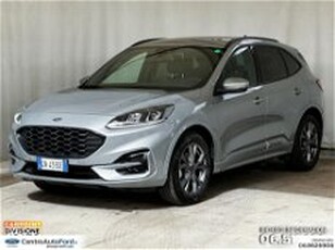 Ford Kuga Kuga 1.5 ecoboost ST-Line 2wd 150cv del 2023 usata a Albano Laziale