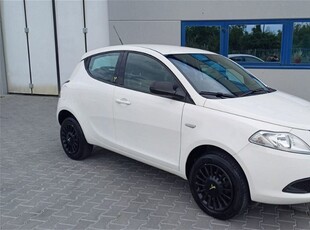 Lancia Ypsilon 0.9 TwinAir 85 CV 5 porte Metano Ecochic Elefantino usato