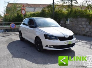 Skoda Fabia 1.4 TDI 75 CV Ambition usato