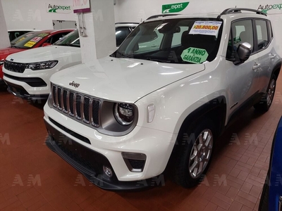 Jeep Renegade 1.0 T3 Limited del 2019 usata a Altopascio