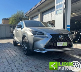 Lexus NX Hybrid Business usato