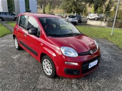 Fiat Panda 1.2 EasyPower Easy del 2016 usata a La Spezia