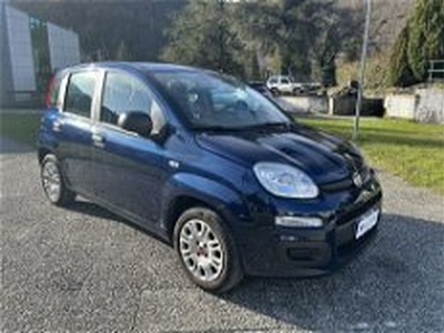 Fiat Panda 1.2 EasyPower Easy del 2019 usata a La Spezia