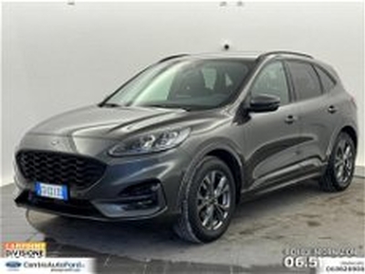 Ford Kuga 1.5 EcoBlue 120 CV 2WD ST-Line X del 2020 usata a Albano Laziale