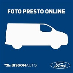 Ford Tourneo Custom 320 2.0 EcoBlue 185CV aut. PC Active del 2022 usata a Grumolo delle Abbadesse