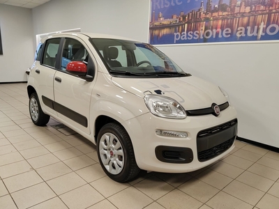 Fiat Panda 0.9 TwinAir Turbo Natural Power Easy usato