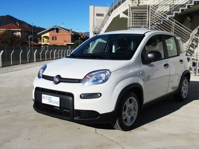 Fiat Panda 1.0 FireFly S&S Hybrid City Cross nuovo